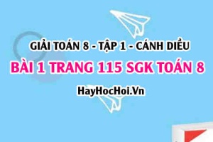 Giải bài 1 trang 115 Toán 8 Tập 1 SGK Cánh Diều